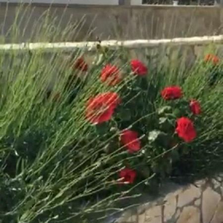 Miro Apartmani Ražanac エクステリア 写真